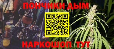прущие крисы Заводоуковск
