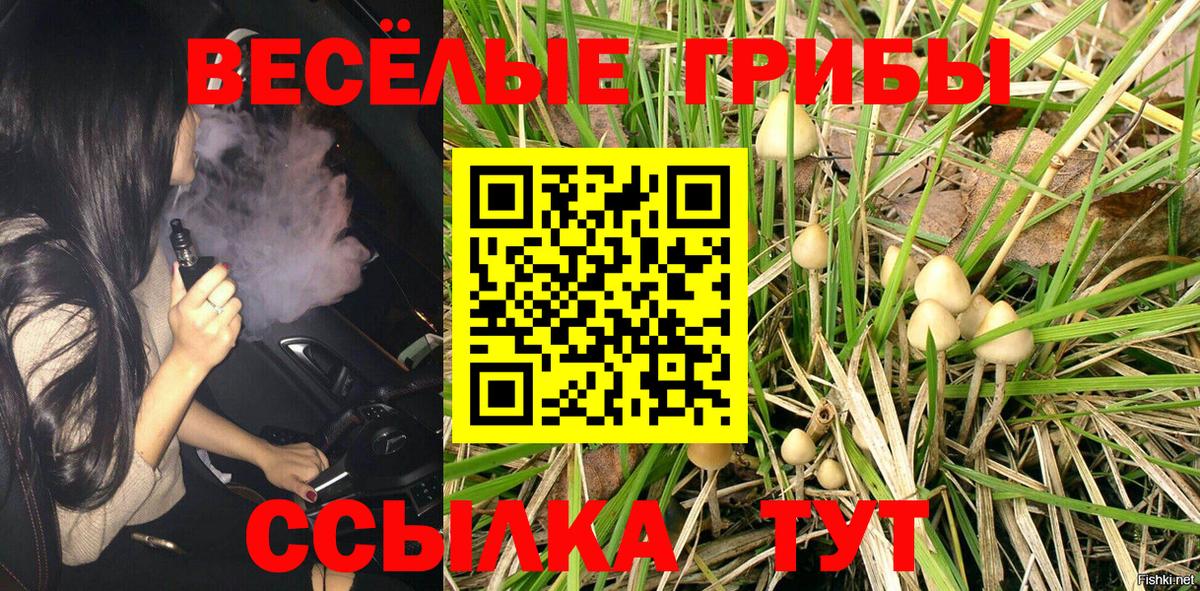 Галлюциногенные грибы GOLDEN TEACHER Людиново