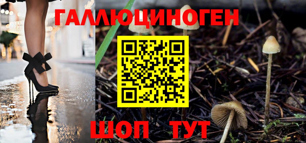 Галлюциногенные грибы Cubensis  Вход с VPN  купить  цена  Людиново 